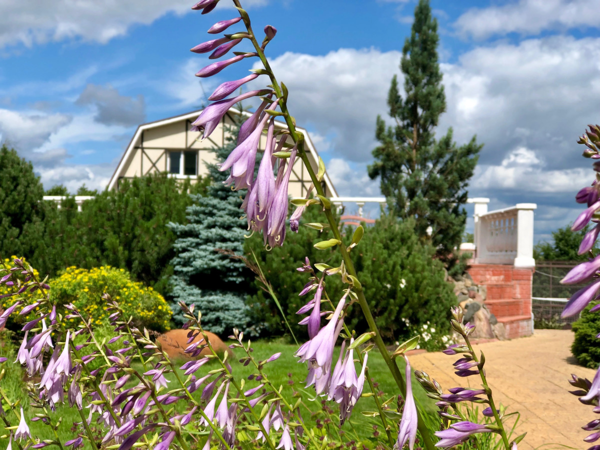 Отель Ю-Питер