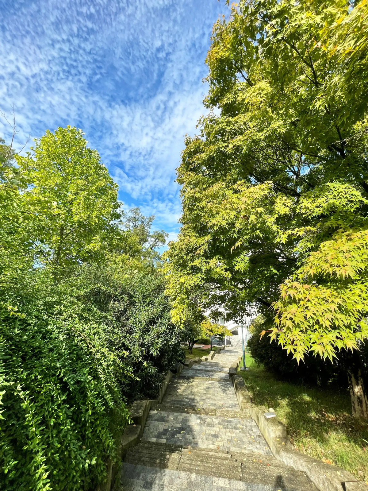 Апартаменты Меридиан Парк