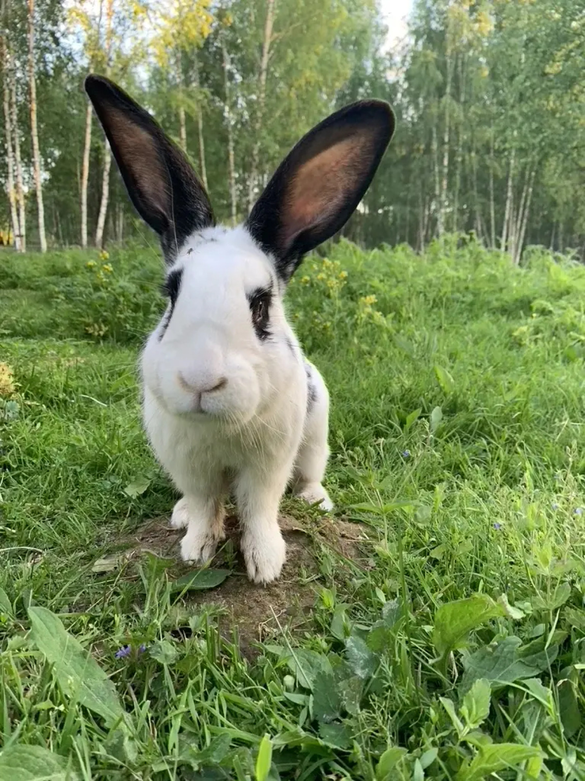 База отдыха ZAгород