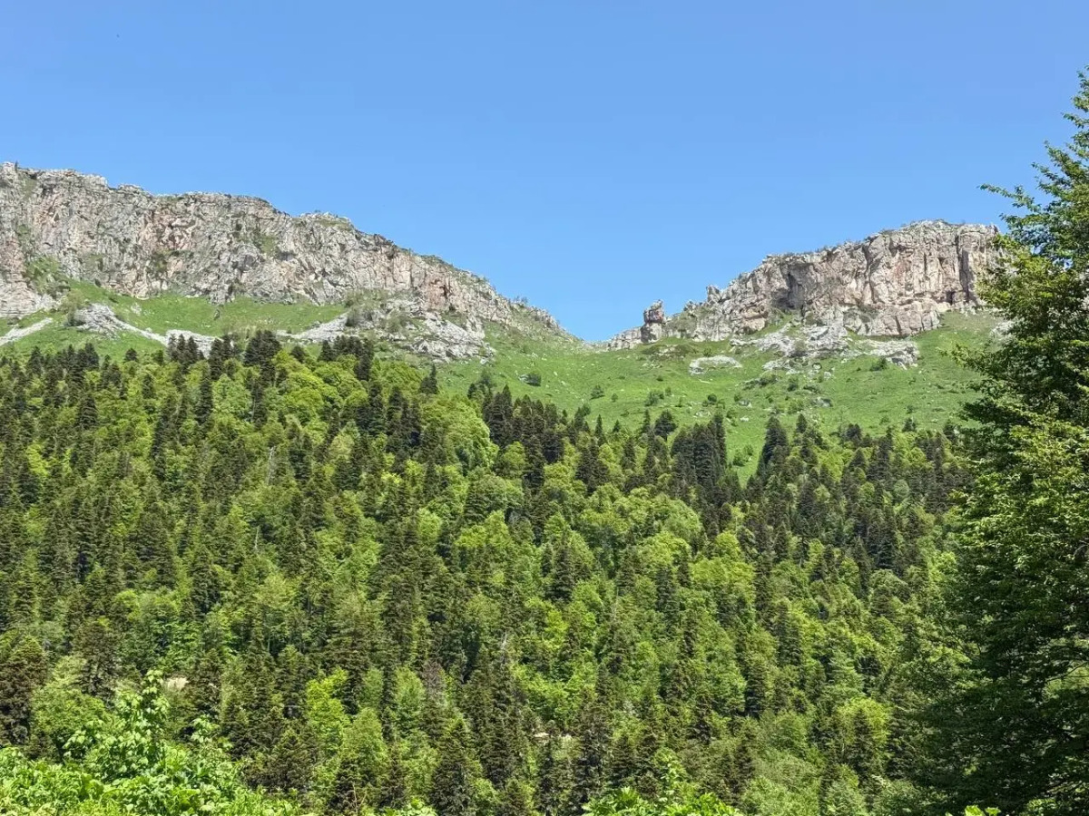 Мини-отель Black Rock Garden