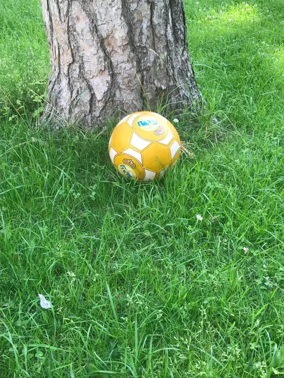 Гостевой дом Томилино