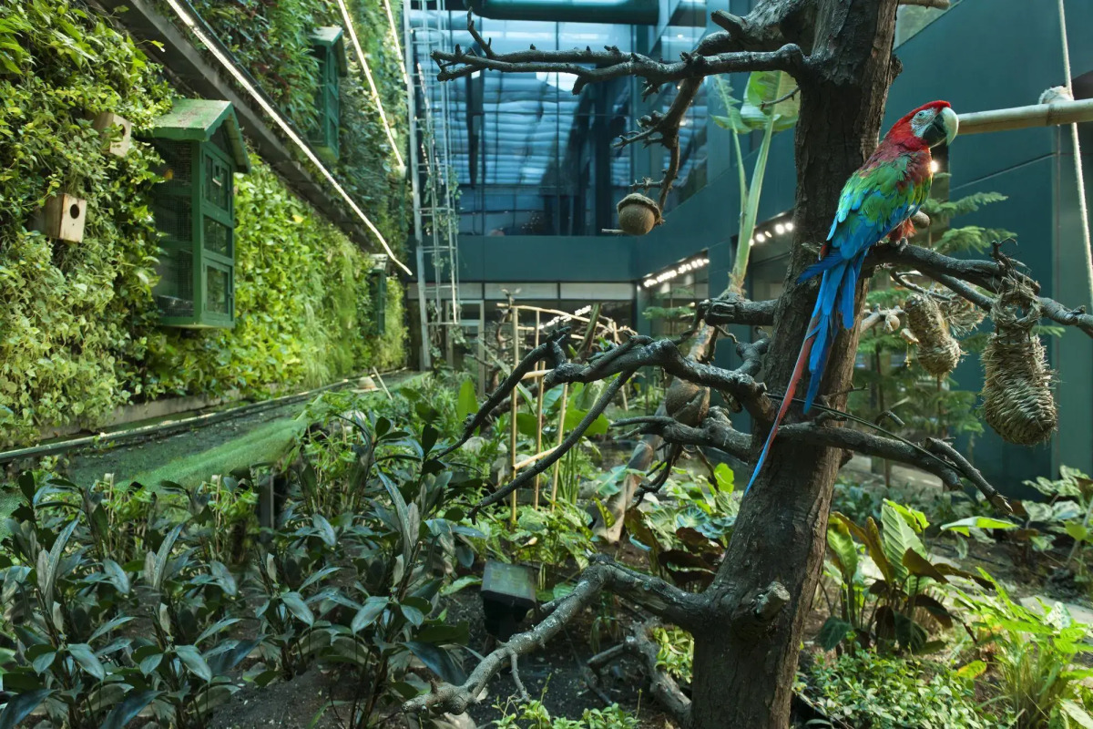 Elite World Grand Istanbul Basın Ekspres