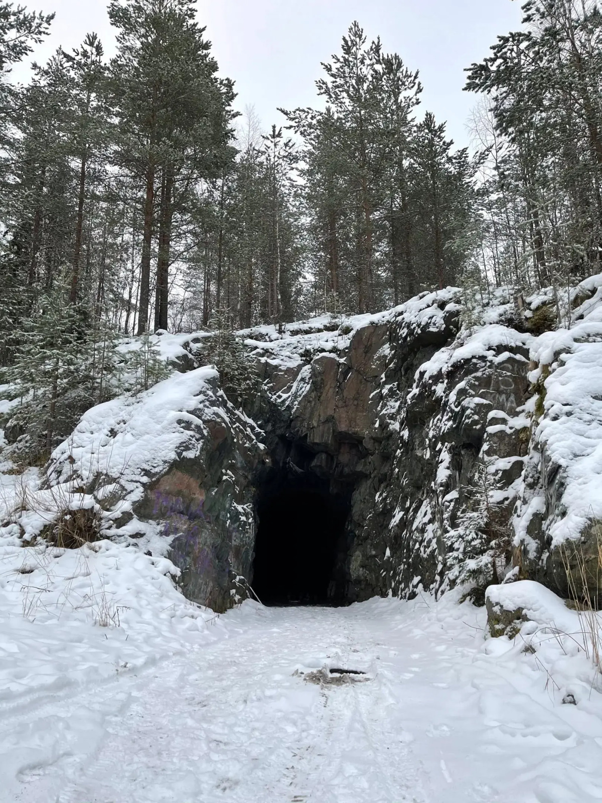 Дом ВИЛЛА в КАРЕЛИИ 1