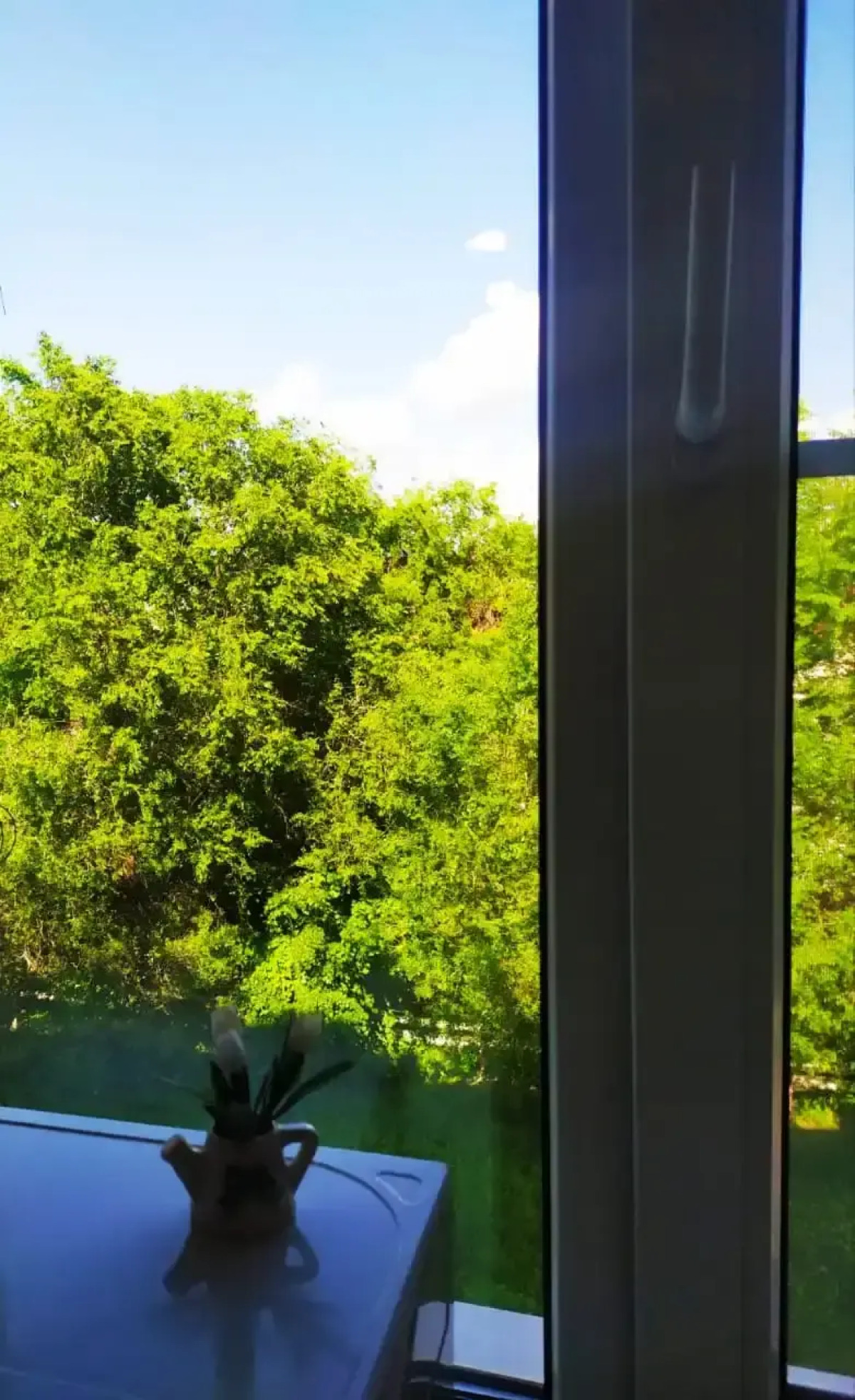 Квартира с видом на горы