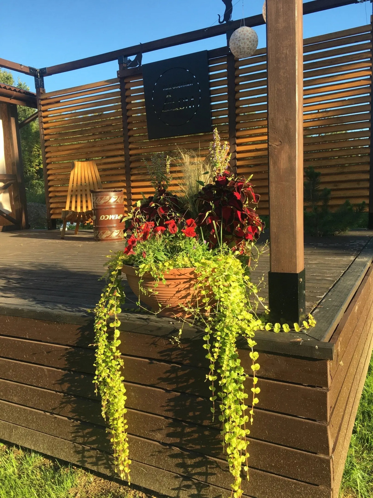 Гостевой дом Под соснами