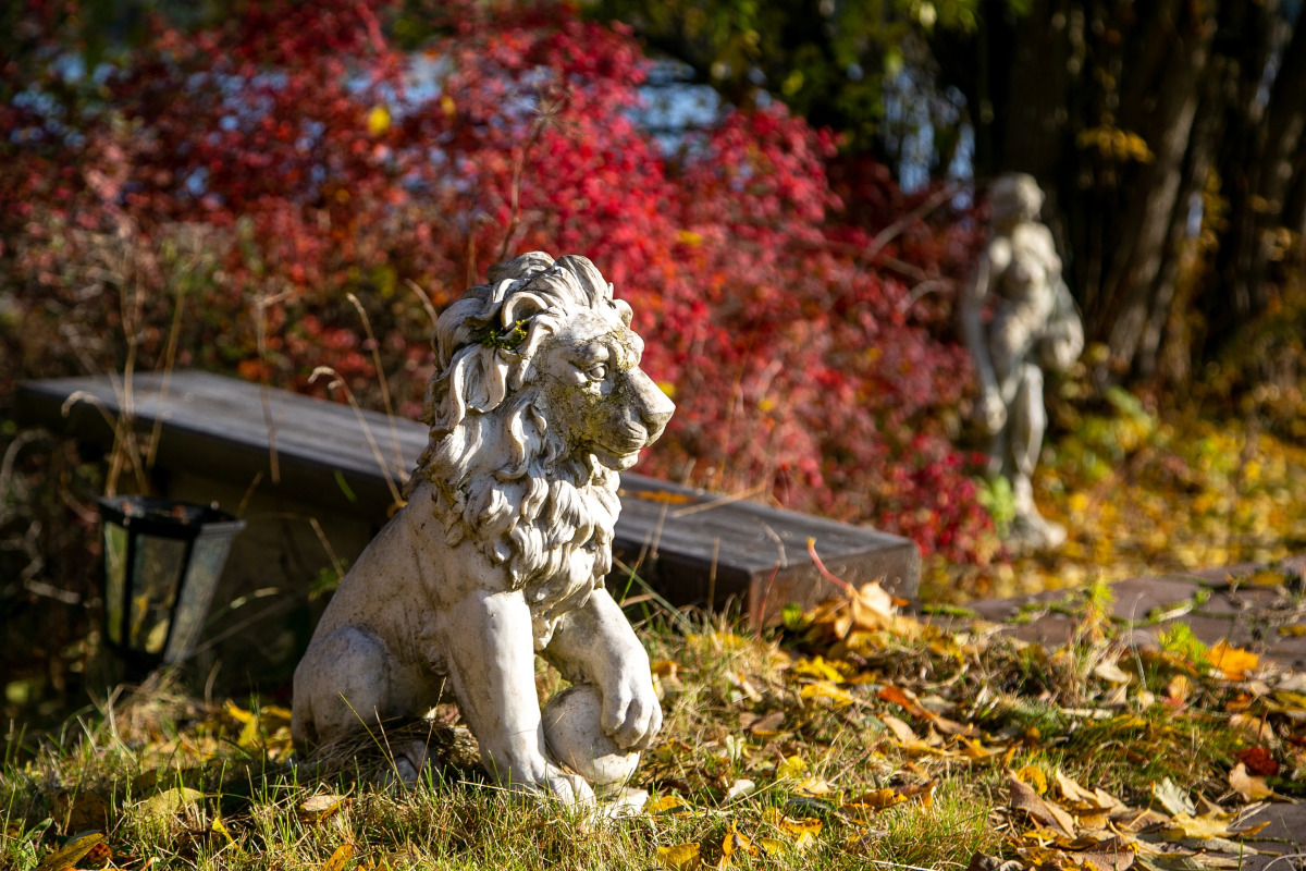 База Отдыха Ладога-Марина