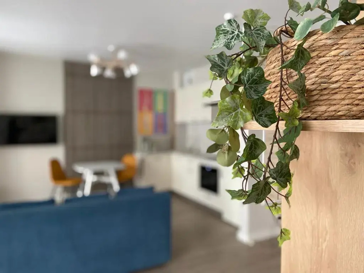 Апартаменты с видом на море Балтийские Дюны