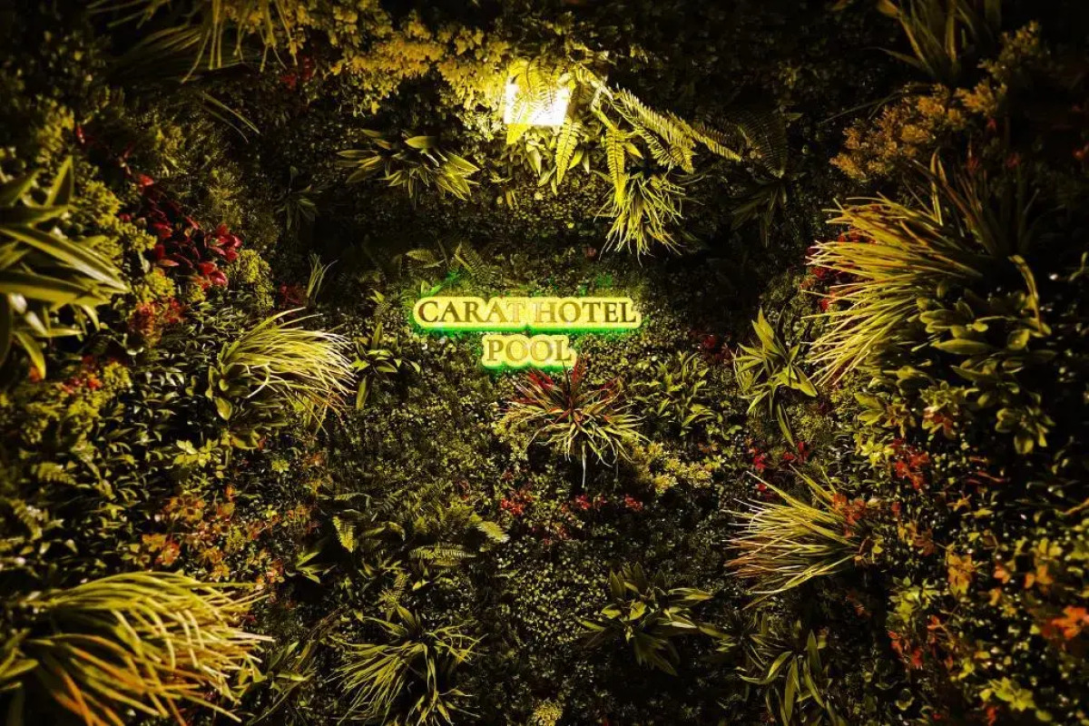 Отель Carat Yerevan