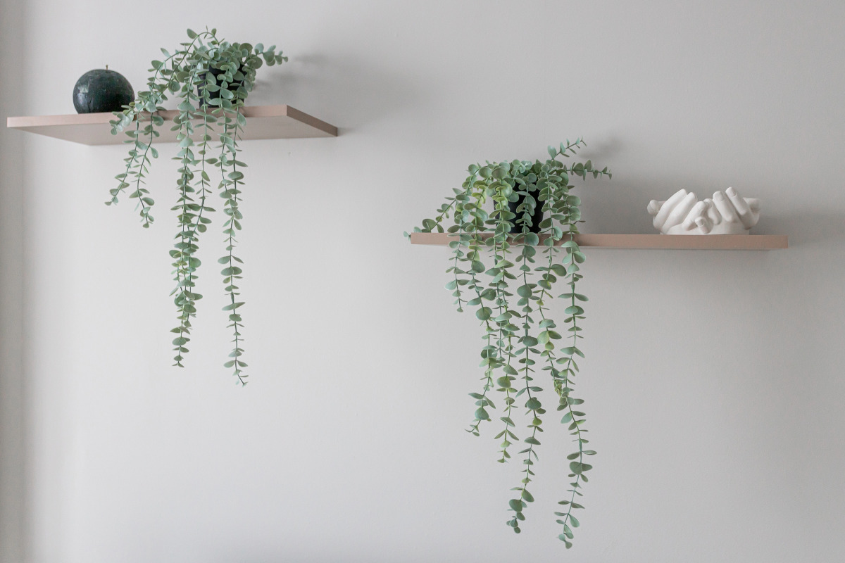 Апартаменты Двухкомнатные на Крузернштерна