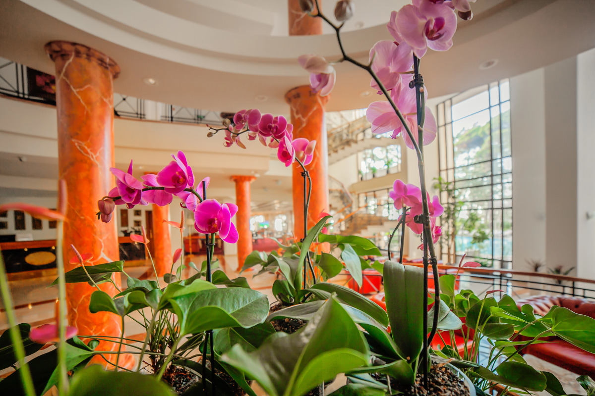 Отель Georgia Palace Hotel & SPA