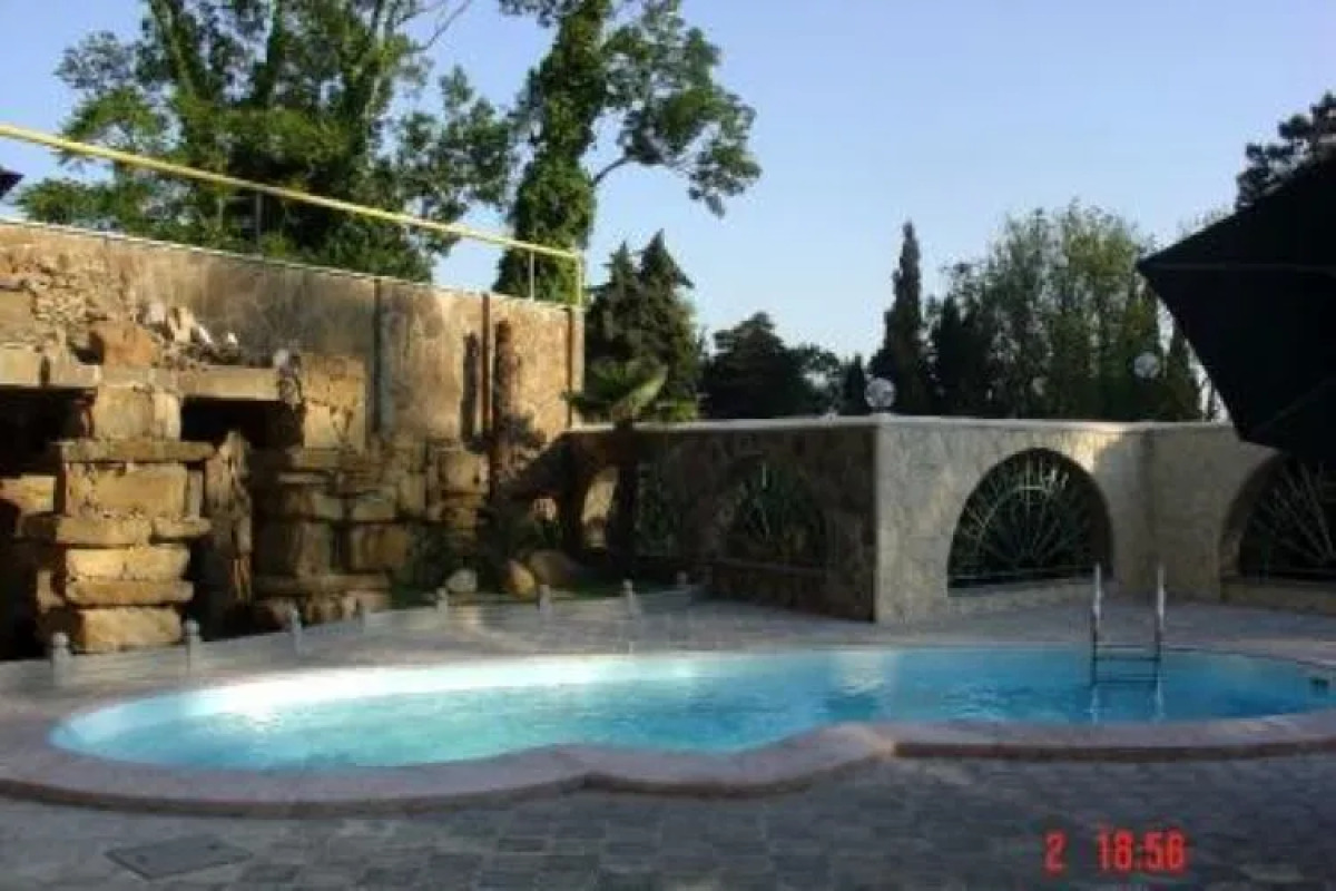 Золотая Пальма