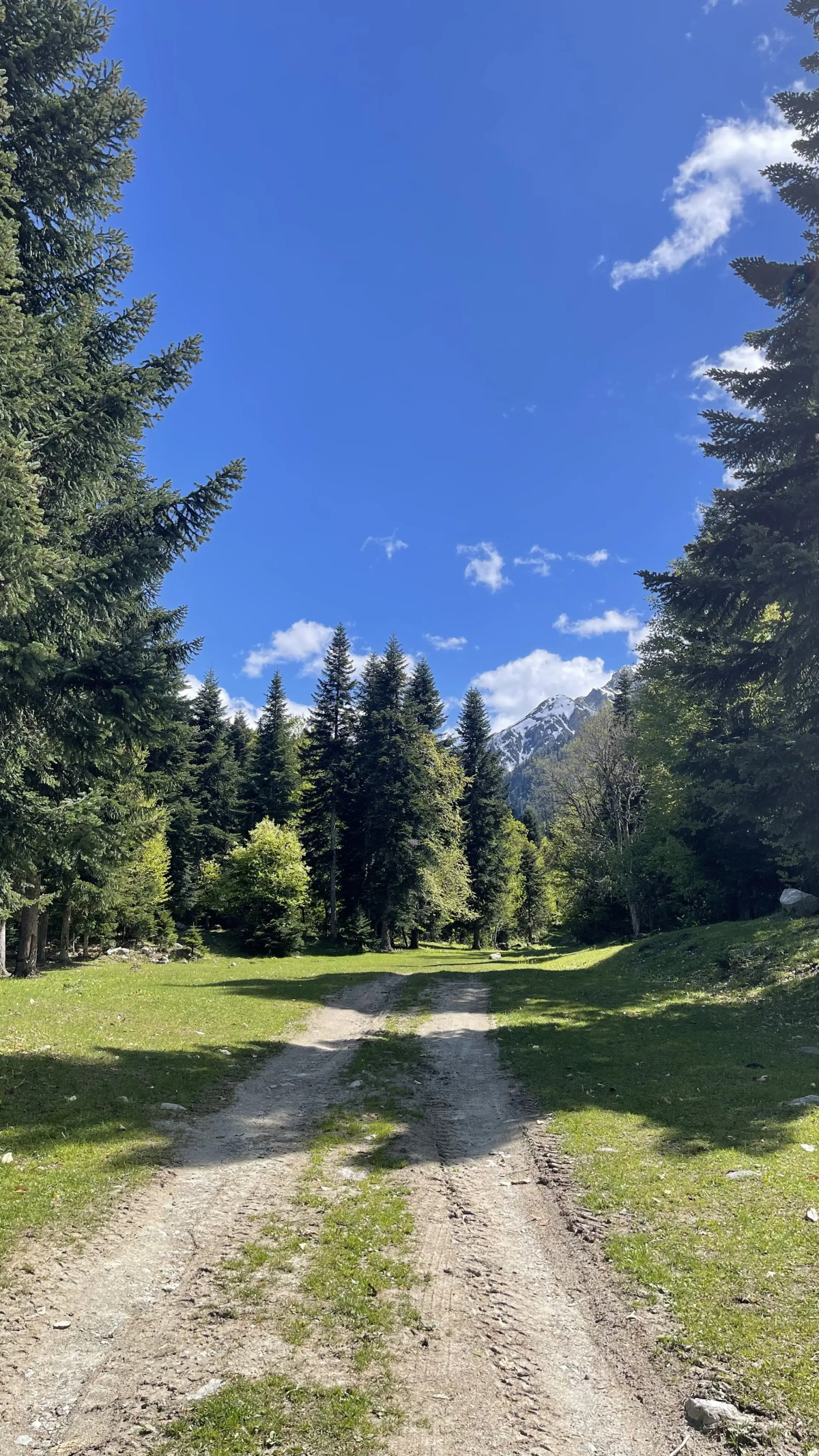 Шале Столица Гор 3