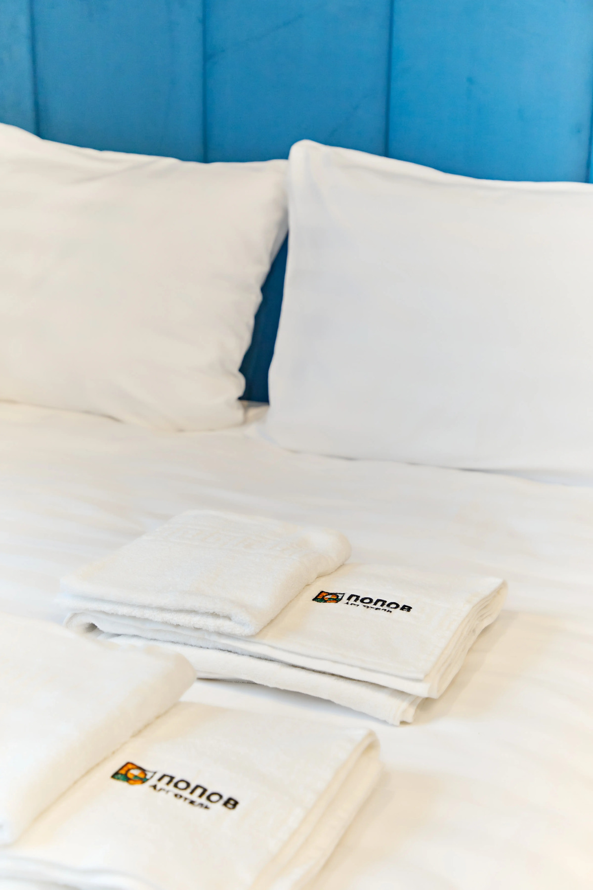 Отель Попов Арт