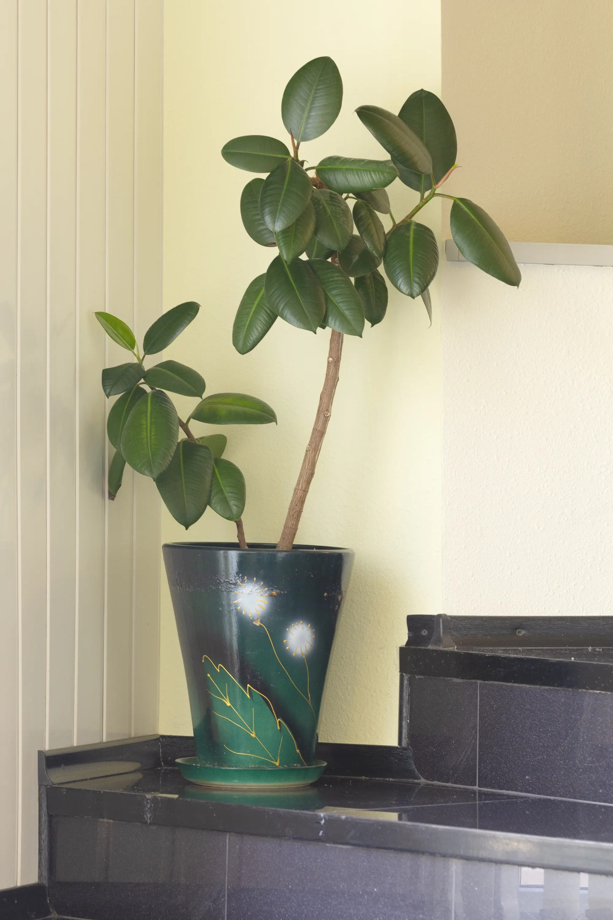 Приват Отель