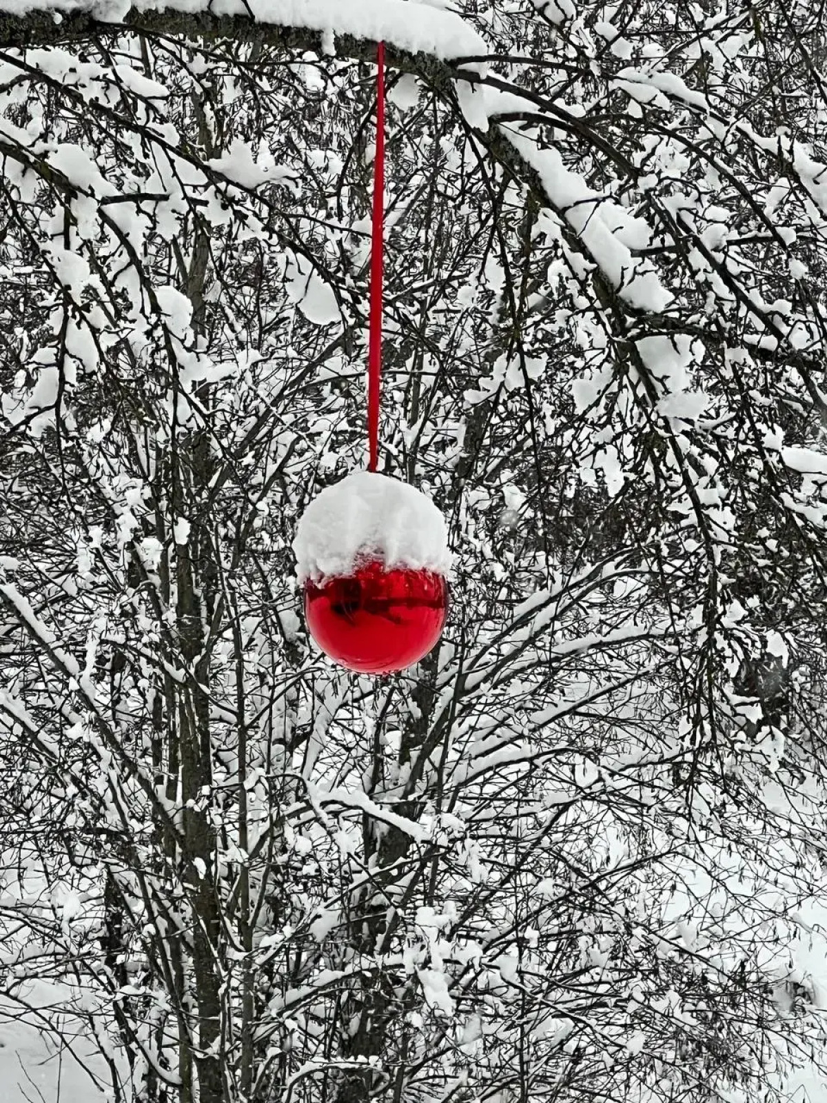 Частный дом Веселые гуси 5