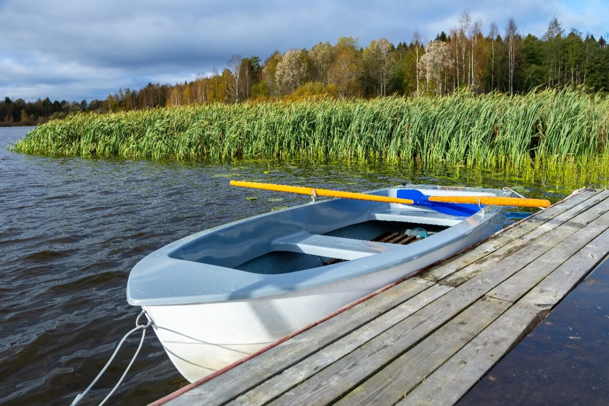 База отдыха Новинка