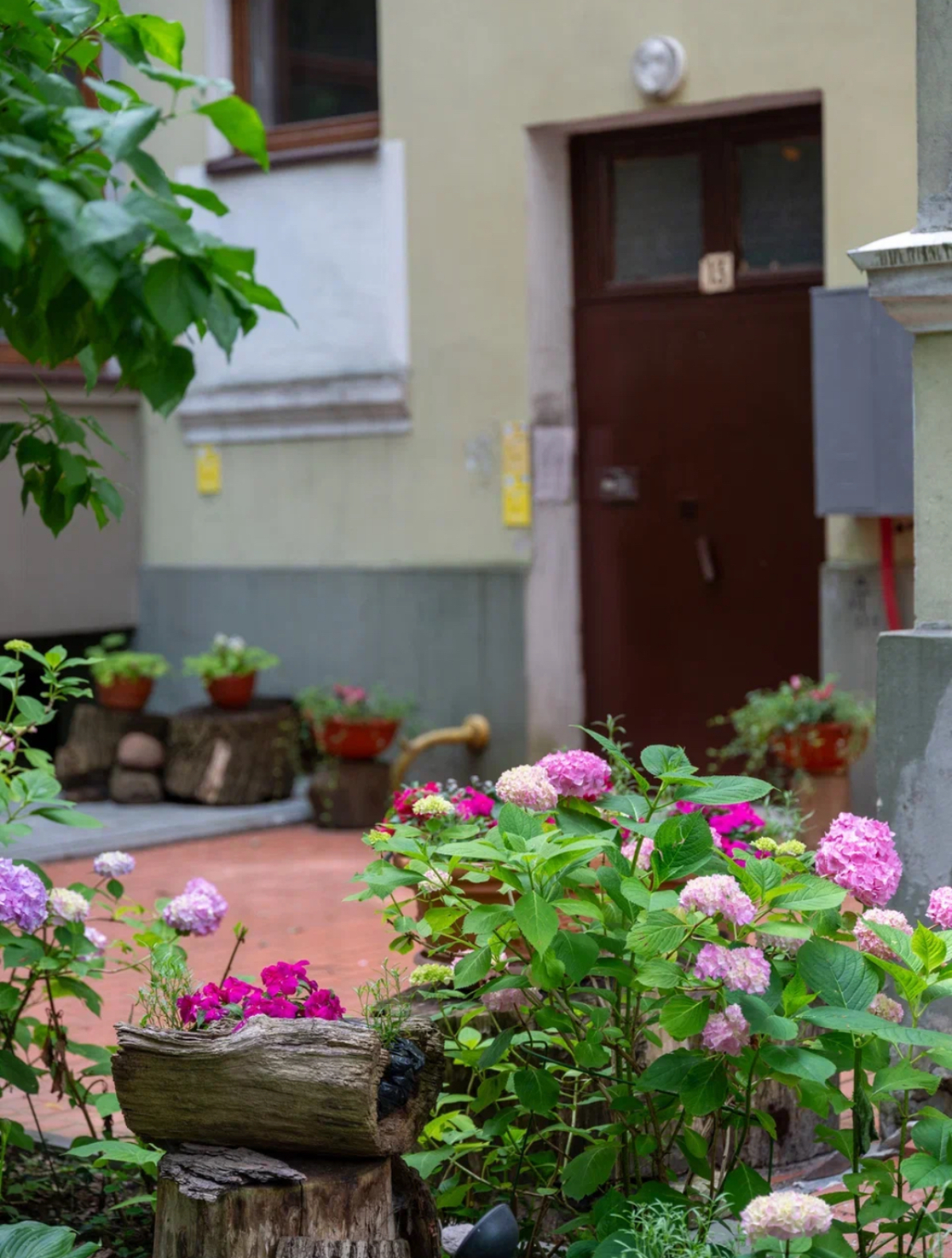 Квартира на Красной Калининград