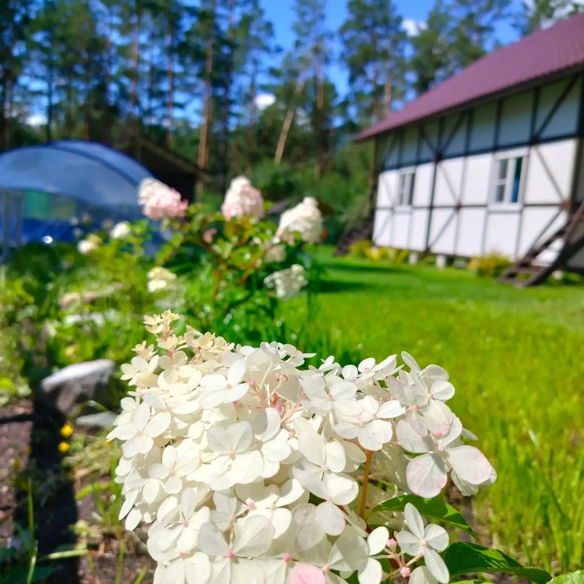 Гостевой Дом PANORAMA ALTAI