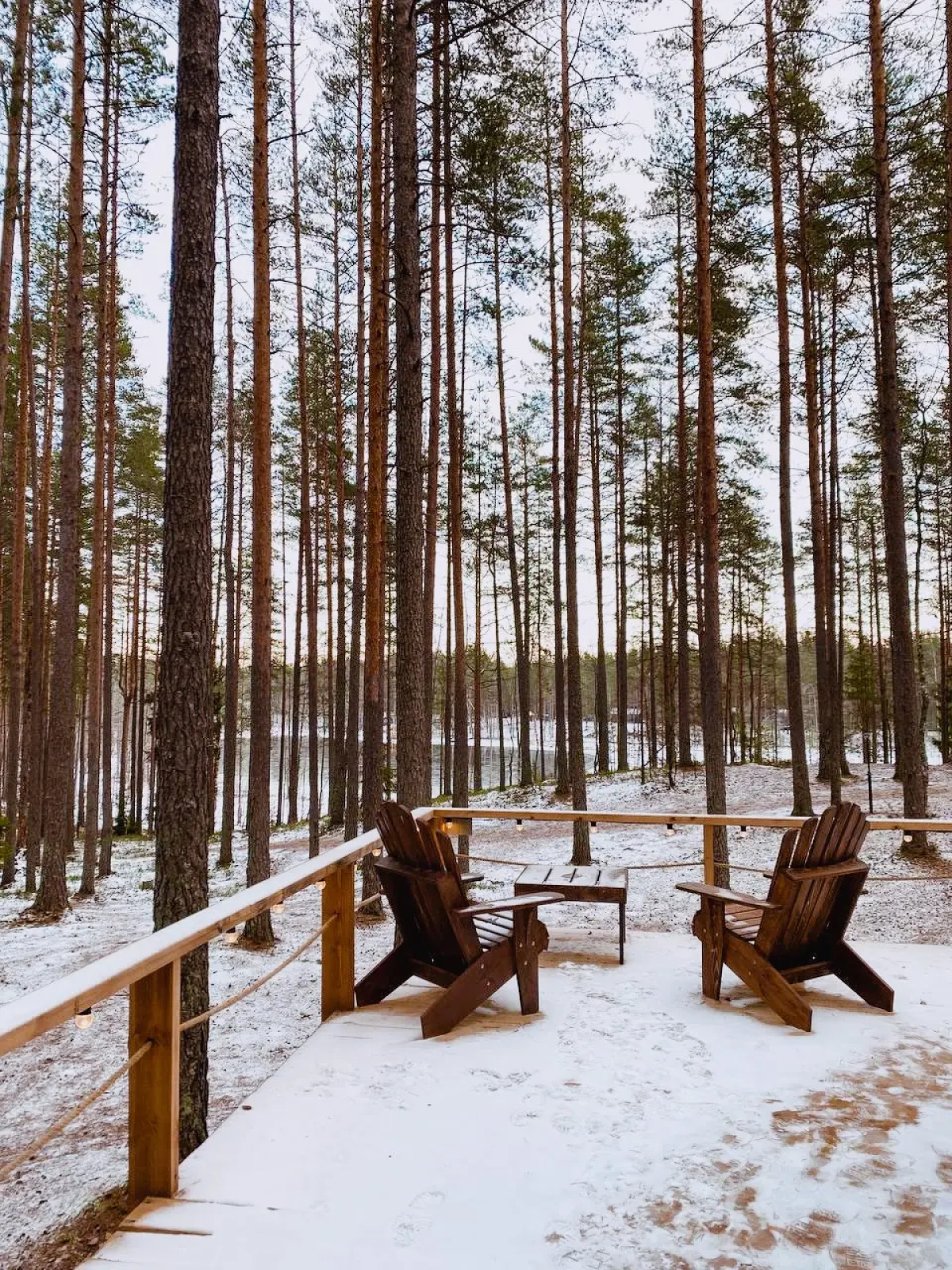 База отдыха Forest Lake