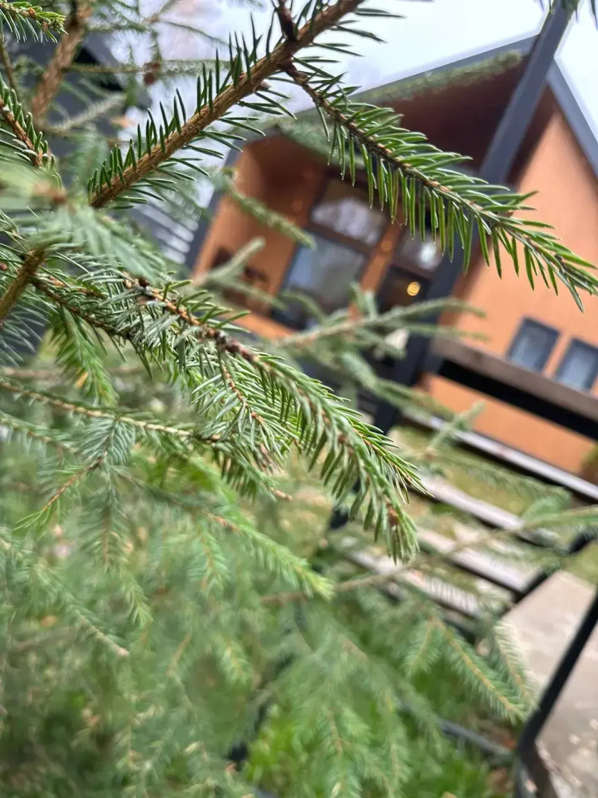 Частный Дом Барнхаус №2 на 10 гостей, с дровяной баней и горячим чаном