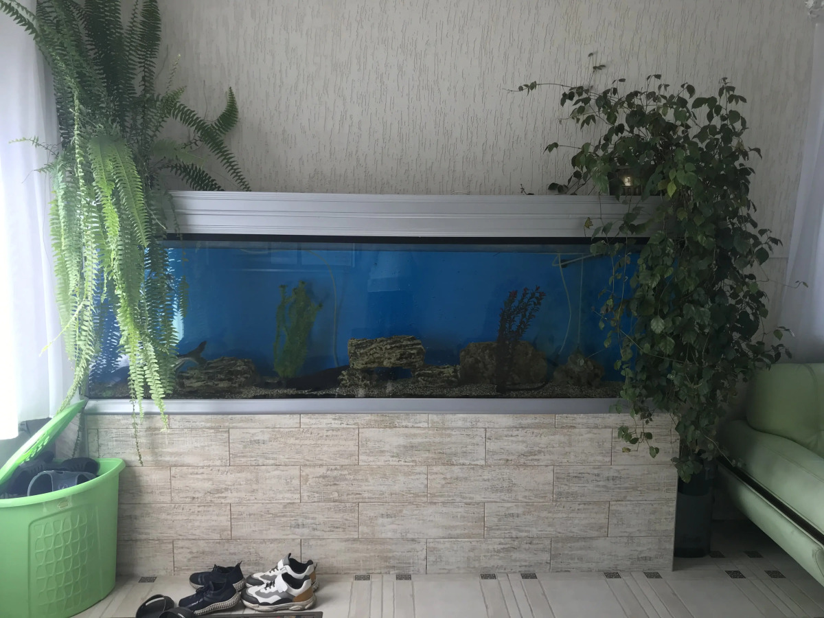 Гостевой дом Камчатдар