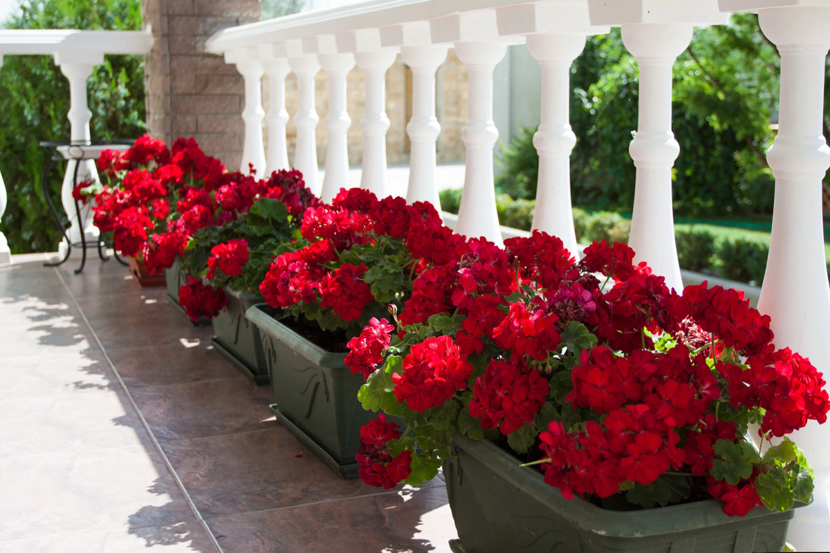 Отель Ольга