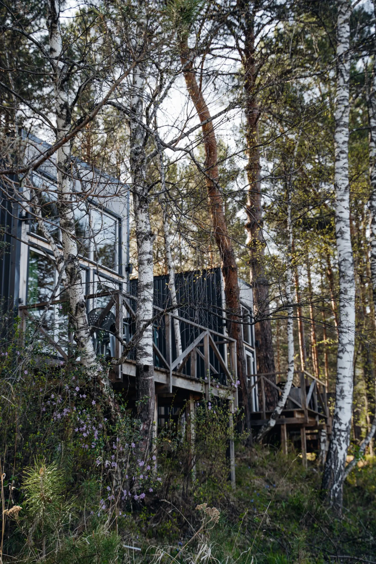 Глэмпинг Камышла Парк