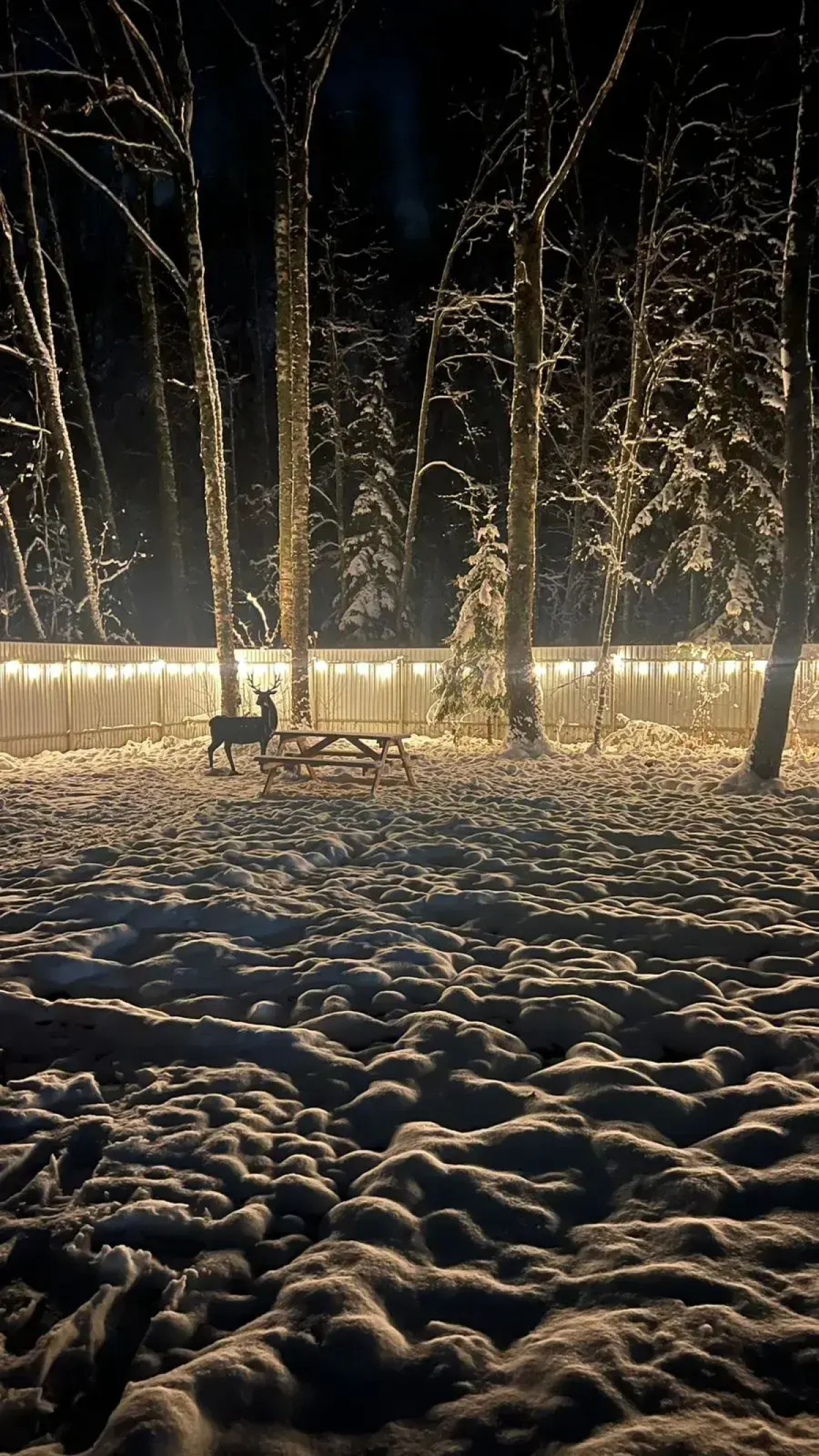 Частный дом На Природе