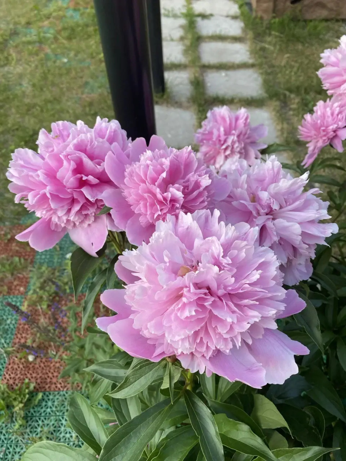 Вилла Усадьба Лесной Рай