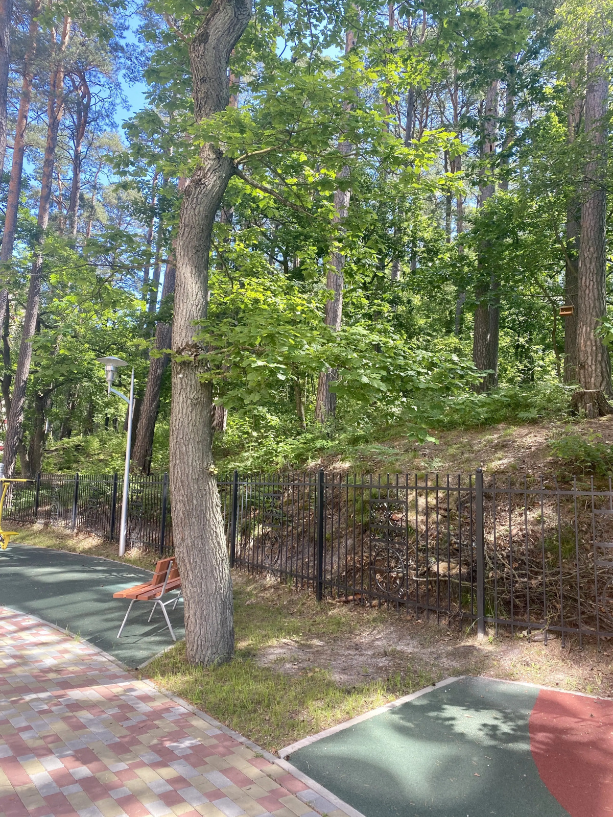 Апартаменты с Красивым Видом из Окна