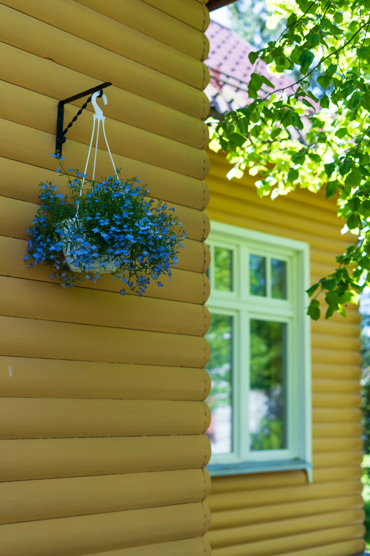 База отдыха Антлер