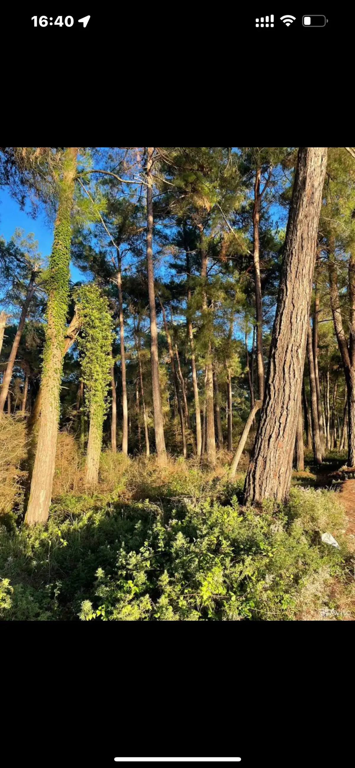 Гостевой дом Леон 10