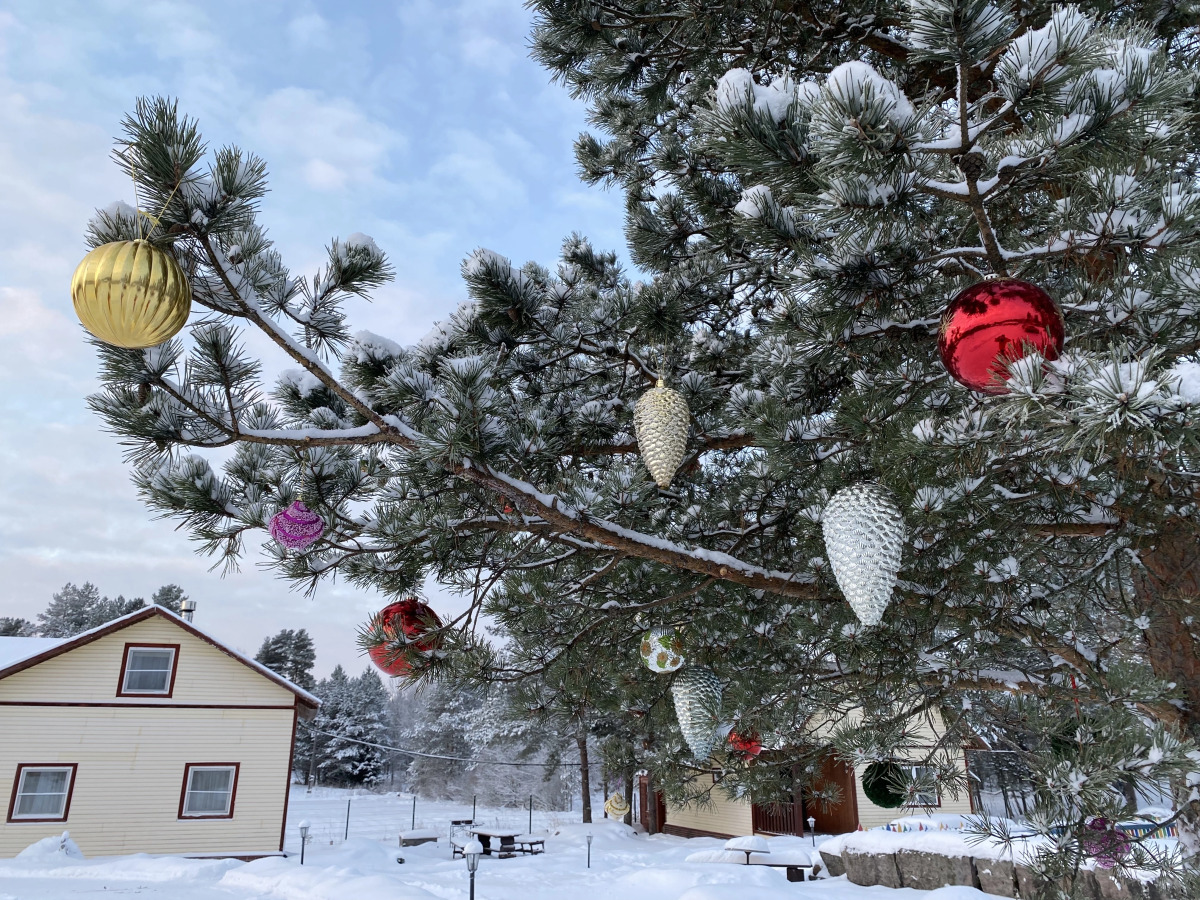 База отдыха Эко Хутор Рай Сяля