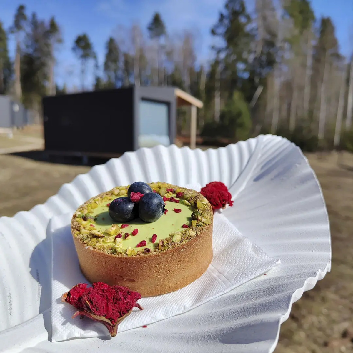 Частный дом Рузские Лужки