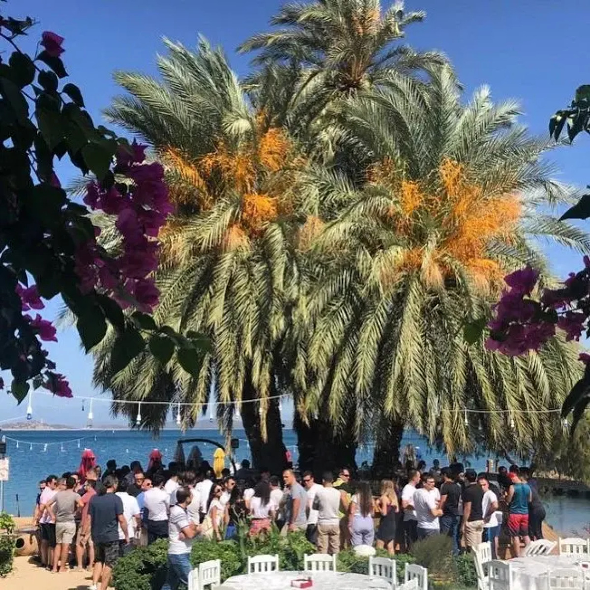 Toka Bodrum Hotel & Beach Club