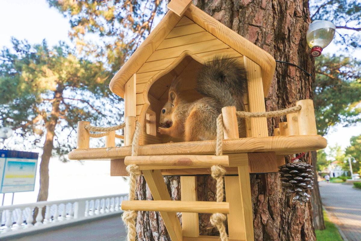 Апартаменты Вид на Море Азимут 22