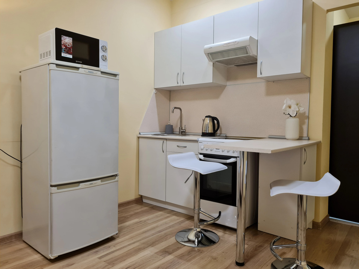 Апартаменты Льва Толстого 12