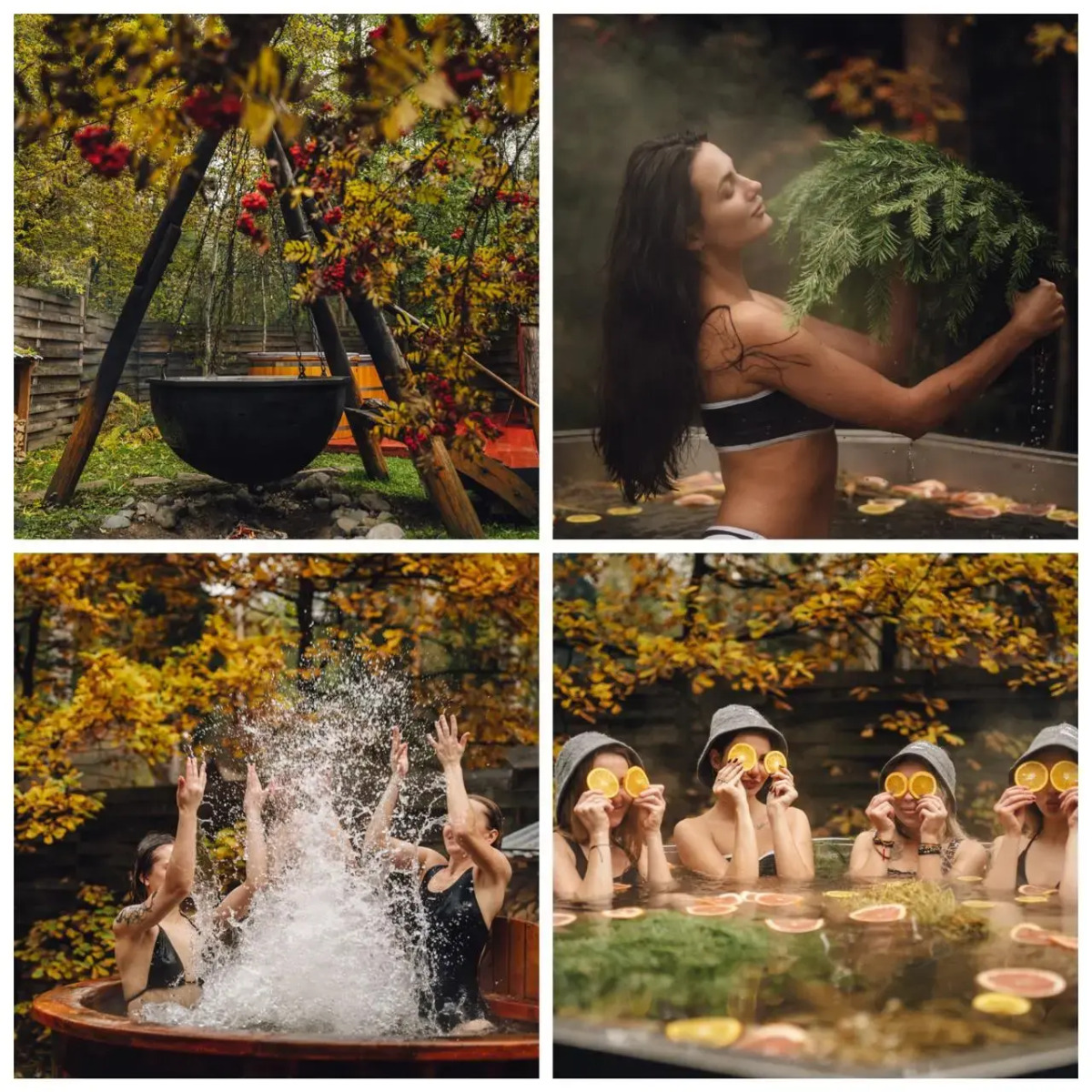 Мини-отель Гуси-Лебеди