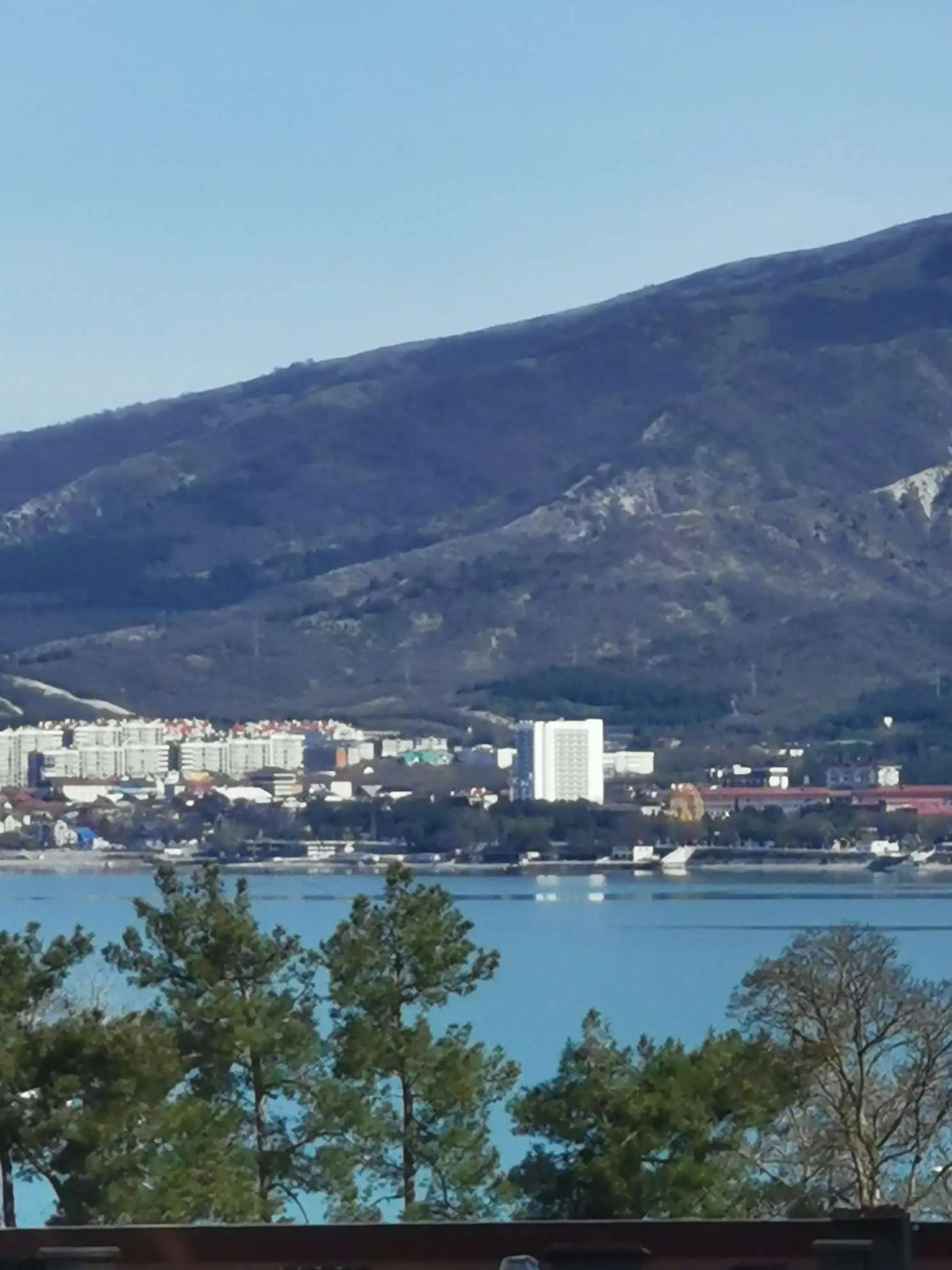 Апартаменты в Геленджике