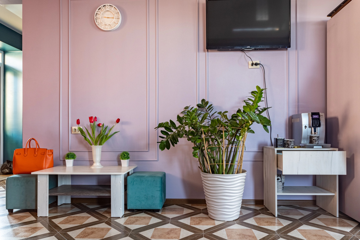 Гостиница Sova