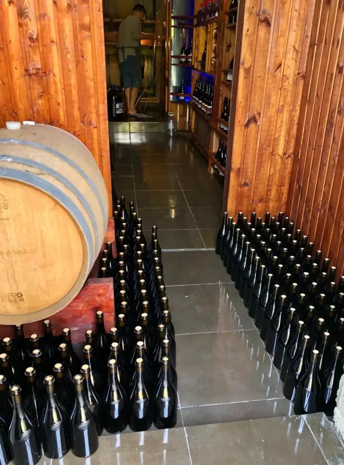 Гостевой дом Шато Бужор