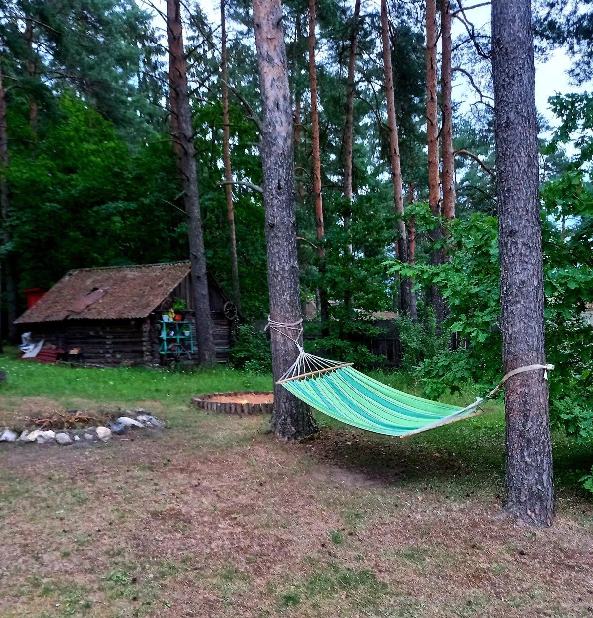 Дом у сосен