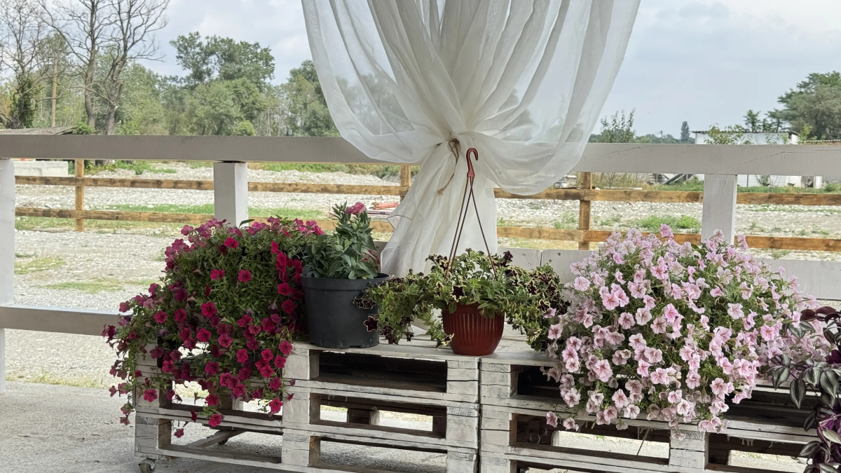 Частный дом Baler