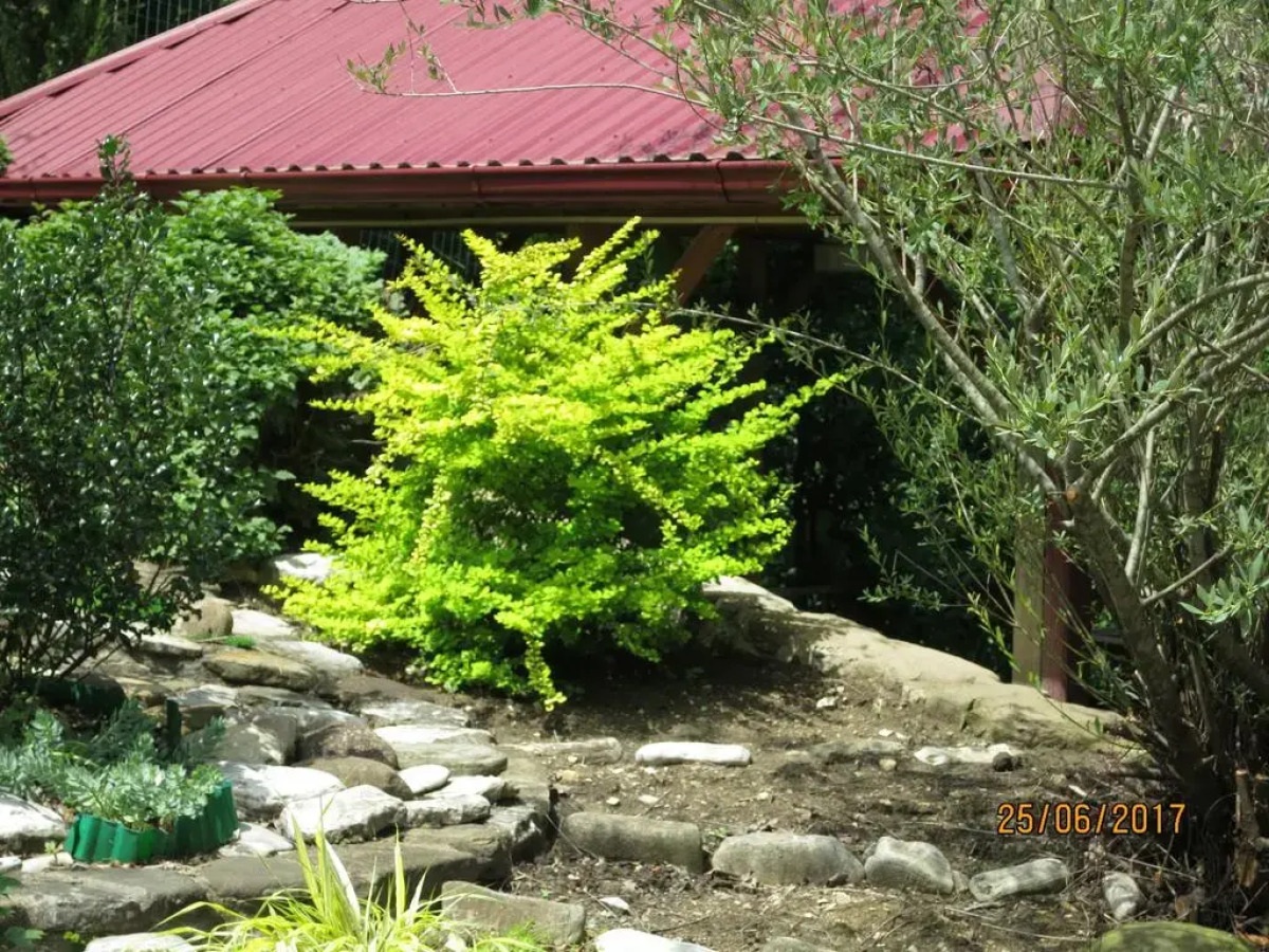 Гостевой дом Нэста РФ