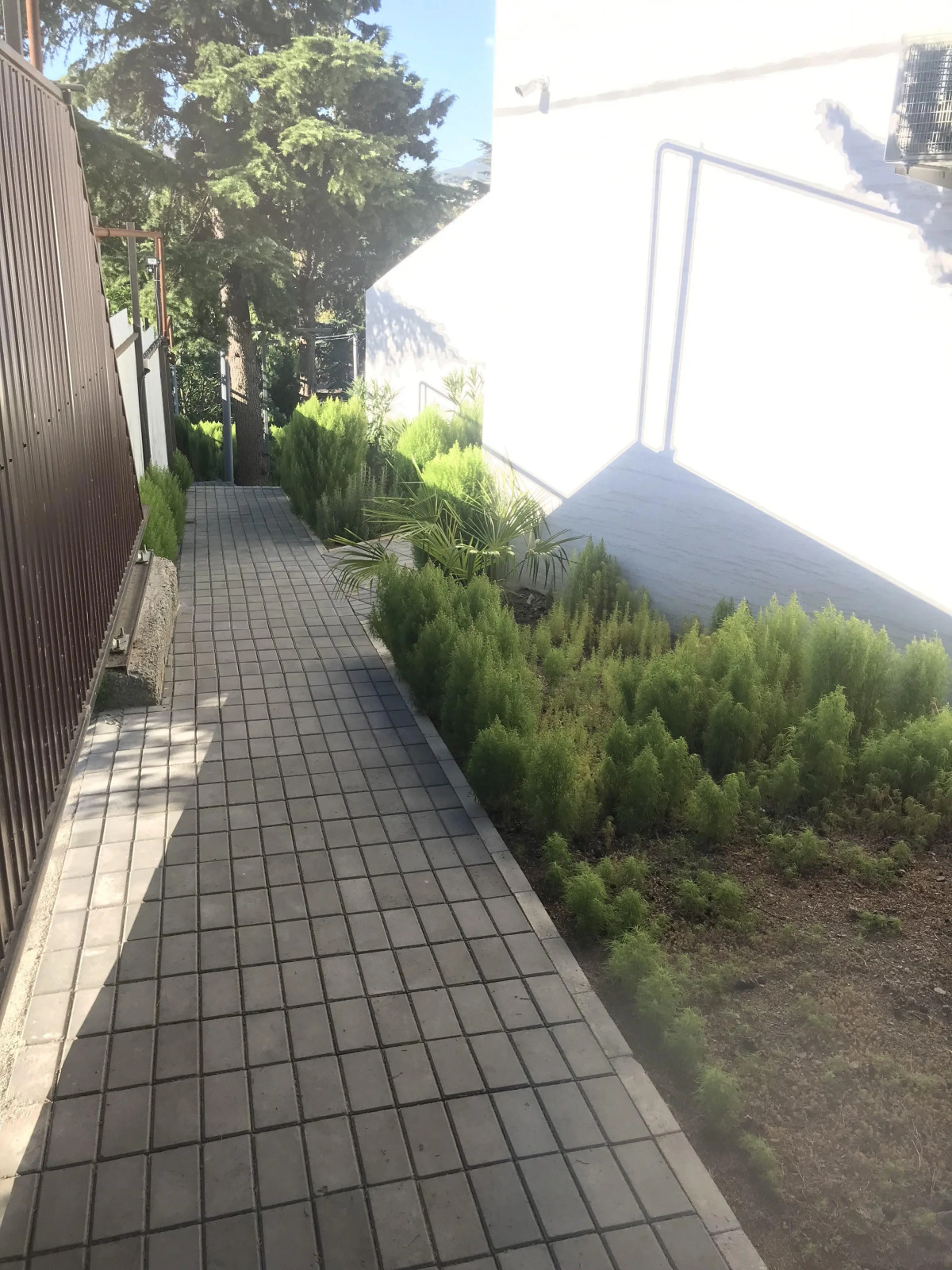 Гостевой дом Дача на море Крымские каникулы