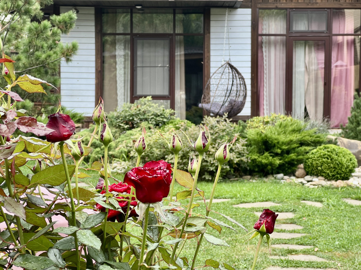 Гостевой дом Роза-Мария Внуково