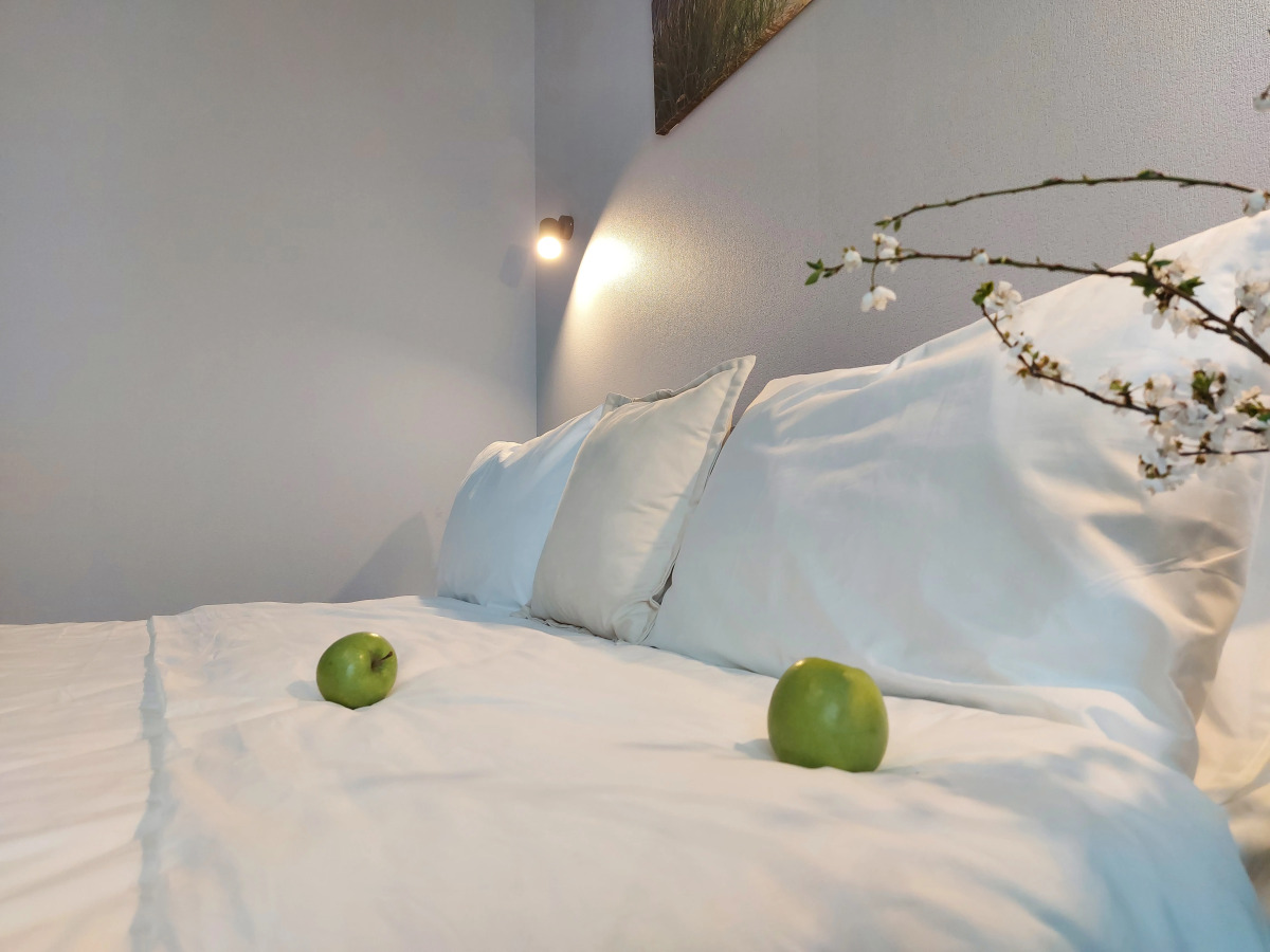 Апартаменты Уютные новые апартаменты Светлогорск