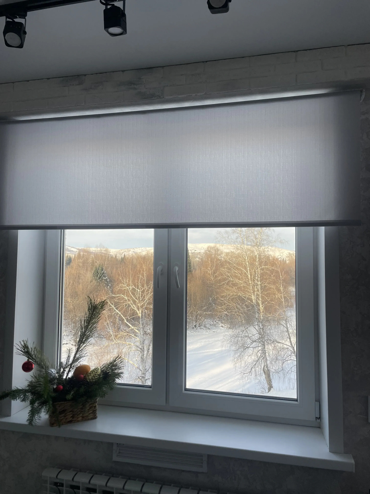 Квартира на берегу Катуни