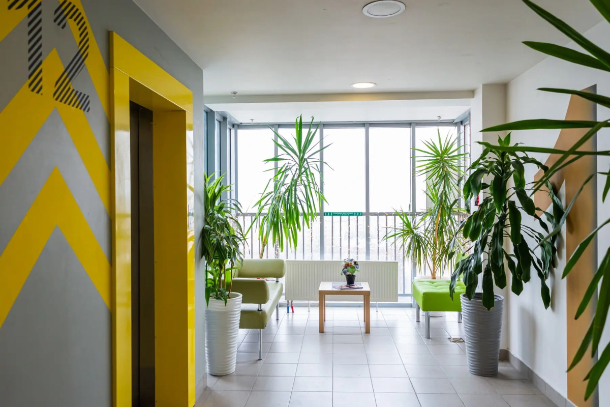 Апартаменты с видом на Останкино Wood&black