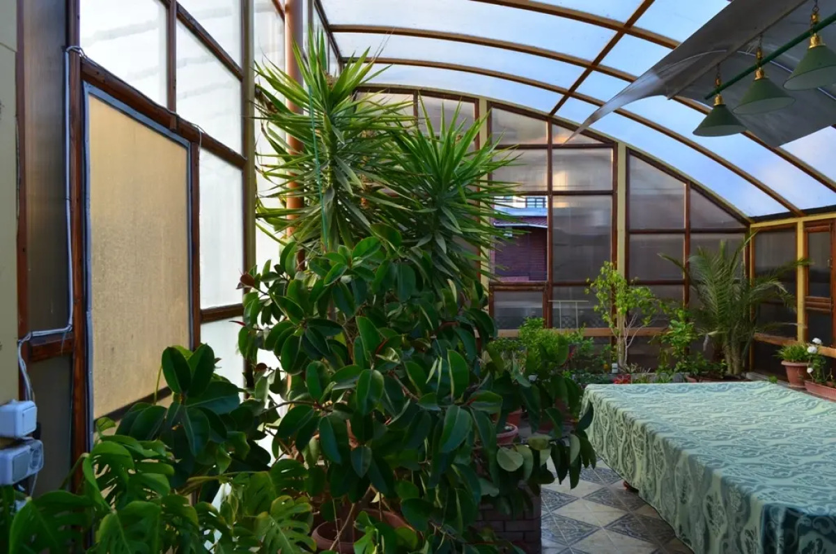 Гостевой дом Медный Всадник